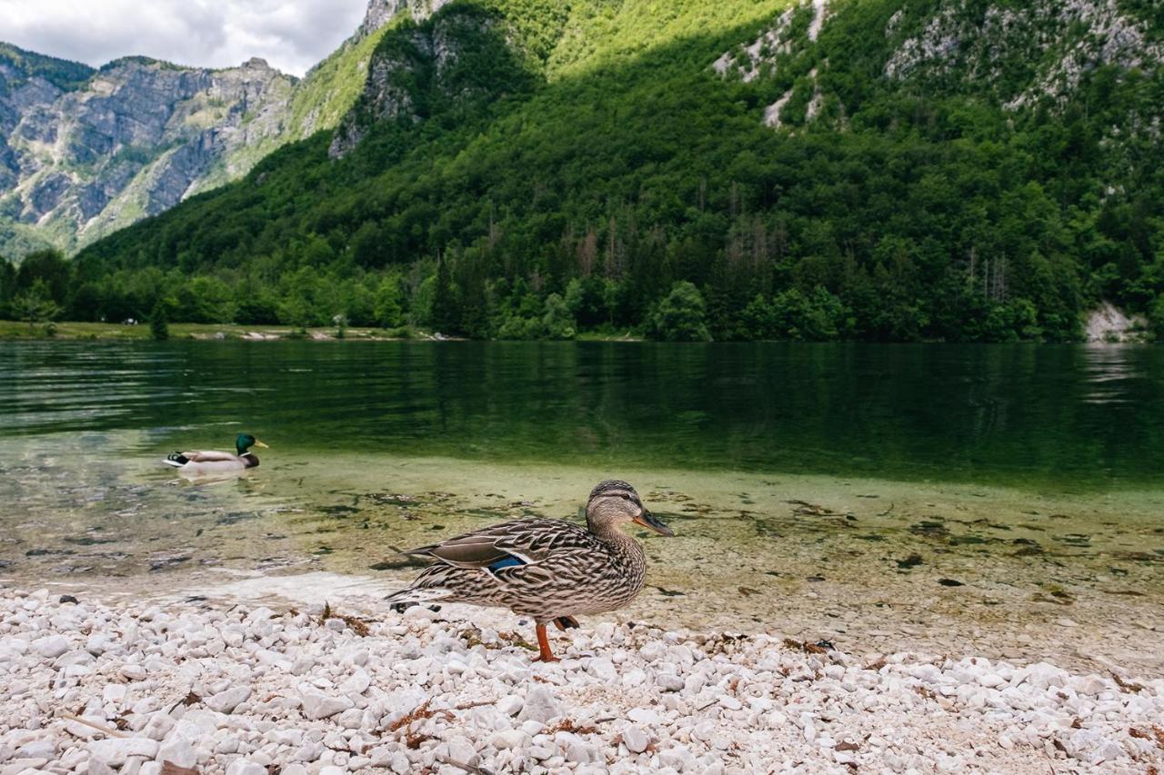 Villa Melody Bohinj Eksteriør billede